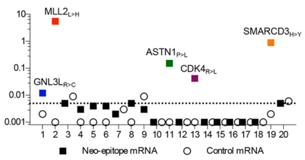 Рис. 4. Доля Т-клеток (в процентах), активированных in vitro против 20 потенциальных неоантигенов