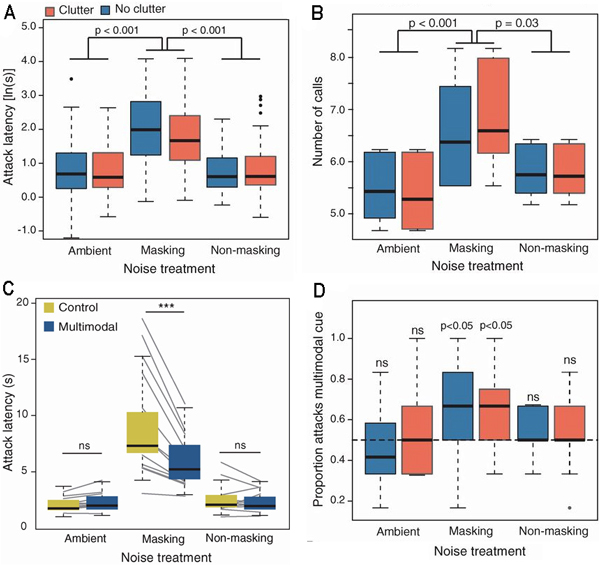 Как свистят летучие мыши. Смотреть фото Как свистят летучие мыши. Смотреть картинку Как свистят летучие мыши. Картинка про Как свистят летучие мыши. Фото Как свистят летучие мыши Как свистят летучие мыши. Смотреть фото Как свистят летучие мыши. Смотреть картинку Как свистят летучие мыши. Картинка про Как свистят летучие мыши. Фото Как свистят летучие мыши