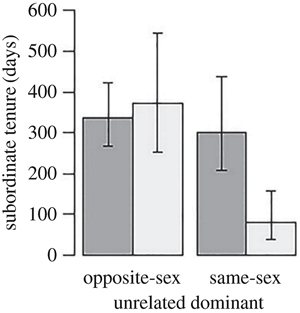 Рис. 4. Продолжительность пребывания птиц-помощников различного пола (дни, ось ординат) на территории неродственного им доминанта