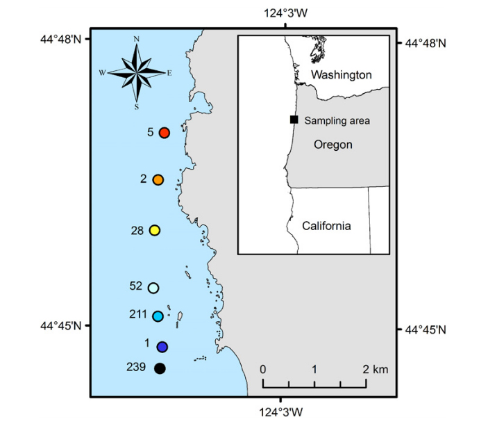 Рис. 2. Места сбора проб ловушками вдоль береговой линии Орегона