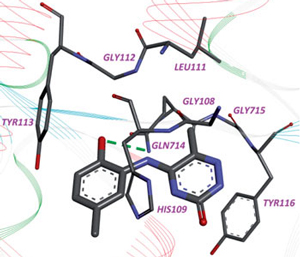 Рис. 4. Компьютерные модели активного центра ЛРСазы M. tuberculosis, связанного с молекулой 2