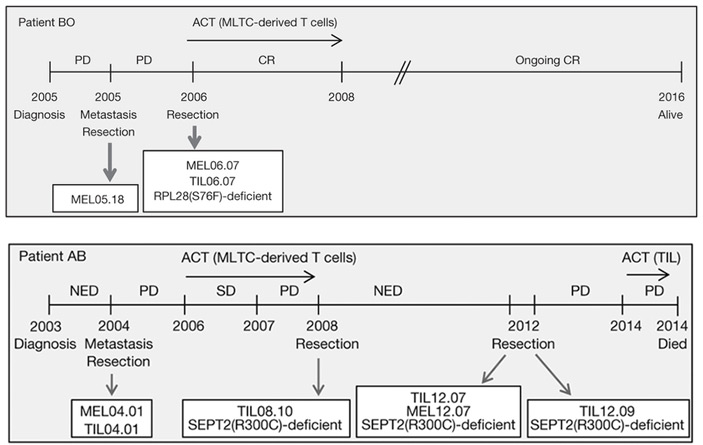Рис. 2. Схема протекания заболевания и лечения двух пациентов с меланомой