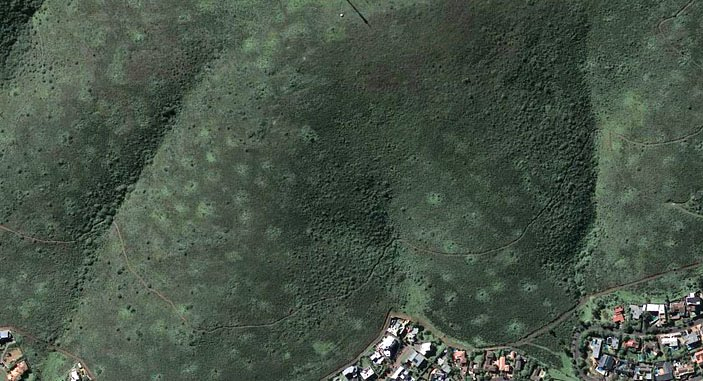 Рис. 4. Хьювелтжи (в переводе означает «небольшие холмы») в национальном парке Тигерберг (Tygerberg Nature Reserve)