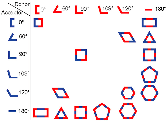 Рис. 2. Двумерные фигуры, которые получаются при смешивании двухвалентных доноров и акцепторов определенной формы