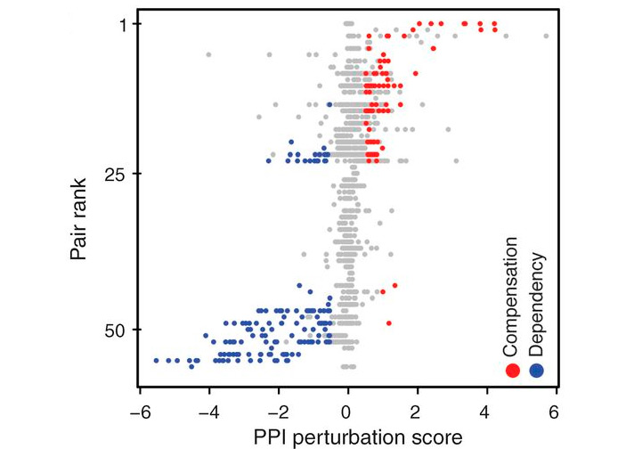 Рис. 3. Соотношение выявленных случаев компенсации, зависимости и отсутствия достоверного влияния
