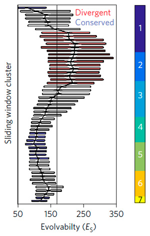 Индекс изменчивости для генов, экспрессирующихся в последовательные моменты зародышевого развития