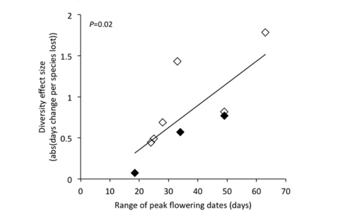 Зависимость эффекта уменьшения разнообразия на сдвиг пикового цветения от диапазона времени пикового цветения