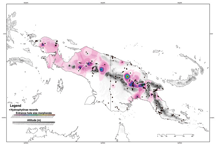 Рис. 4. Карта скорости морфологической эволюции размера входного отверстия в домации у гиднофитовых