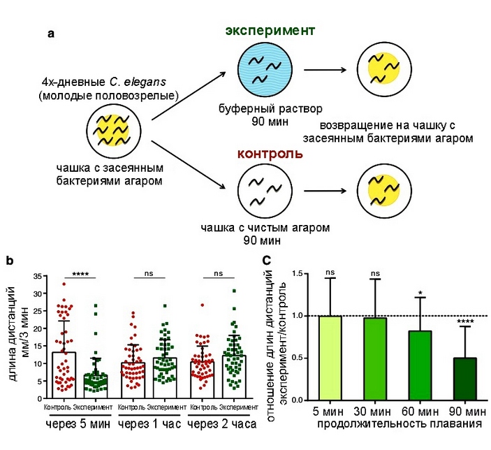 Усталость червей