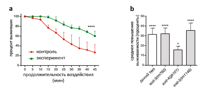 Выживаемость червей