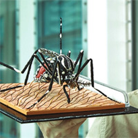 Комары против лихорадки