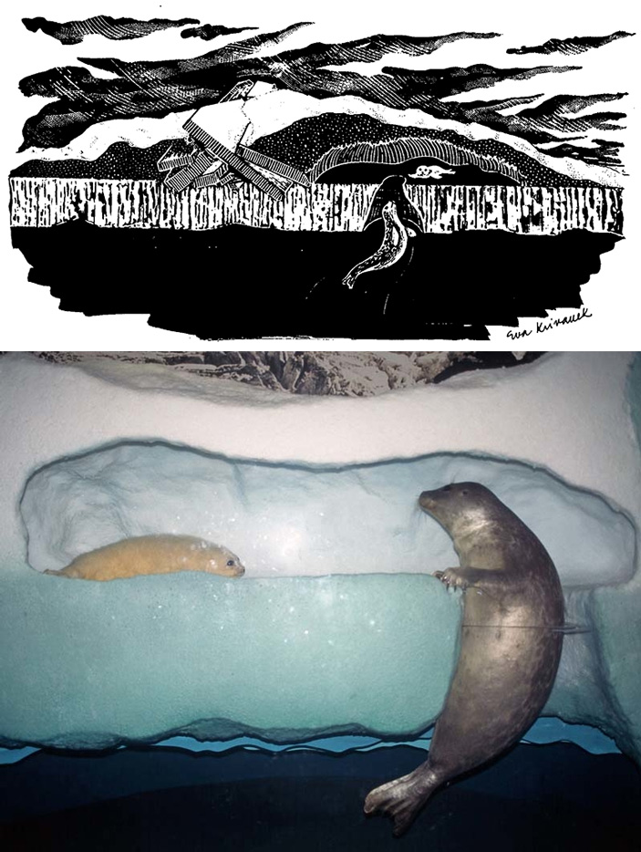 Рис. 3. Убежище самки кольчатой нерпы и ее детеныша