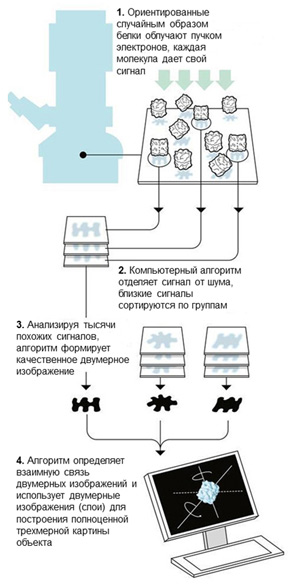 Рис. 5. Методика обсчета сигналов в криоэлектронной микроскопии, предложенная Й. Франком