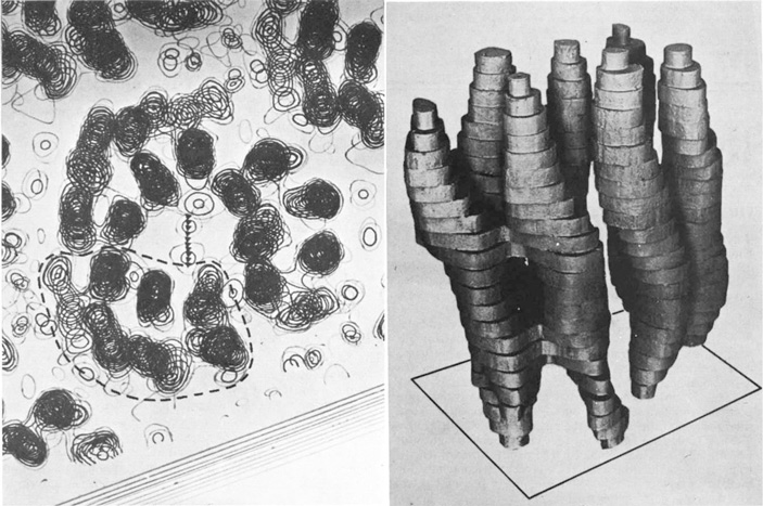 Рис. 3. Мембрана бактерии Halobacterium halobium и структура молекулы биородопсина с разрешением 7 ангстрем
