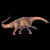 Реконструкция аламозавра. Изображение с сайта www.healthstones.com