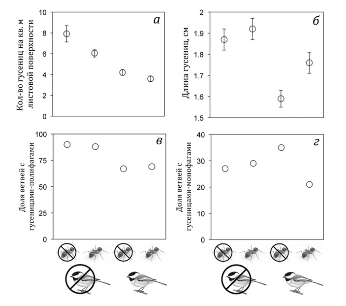 Рис. 2. Влияние наличия и отсутствия муравьев и птиц на гусениц