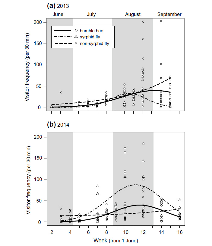 Рис. 2. Сезонная динамика посещения цветков шмелями, мухами-журчалками и другими мухами