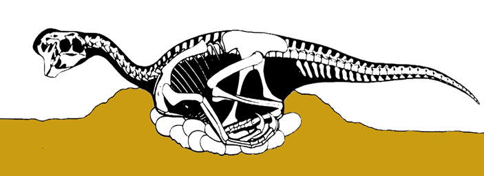 Рис. 2. Овираптор на гнезде
