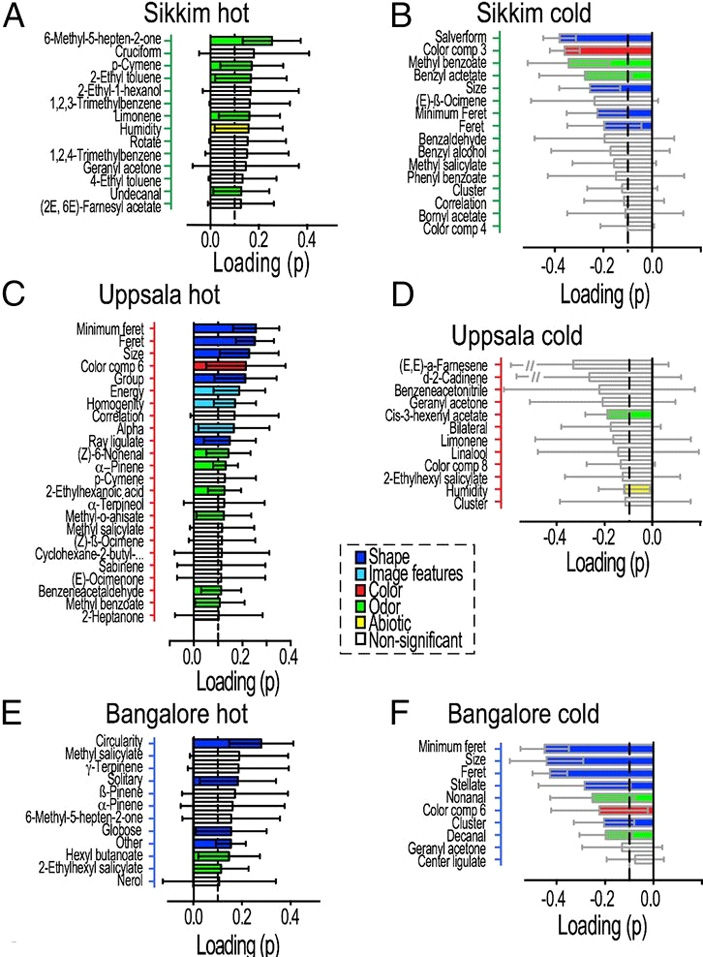 Рис. 4. Моделирование «горячих» и «холодных» цветков в Сиккиме (A, B), Уппсале (C, D) и Бангалоре (E, F)