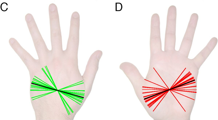 Рис. 6. Наклон, при котором ощущаемое расстояние между двумя точками наибольшее относительно реального