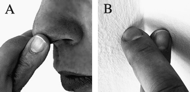 Рис. 2. Иллюзия Аристотеля. A — прямая: должно появиться ощущение двух носов; B — обратная: две поверхности воспринимаются как одна