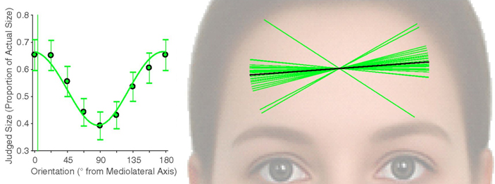 Рис. 8. Зависимость искажения восприятия расстояния между точками (оценка испытуемого, деленная на реальный размер) от угла наклона и положение линий вытяжения
