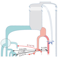 Рис. 1. «Графическое резюме» обсуждаемой статьи в Cell