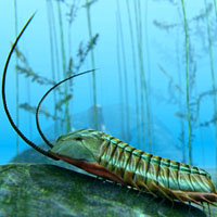 Мы живём на дне