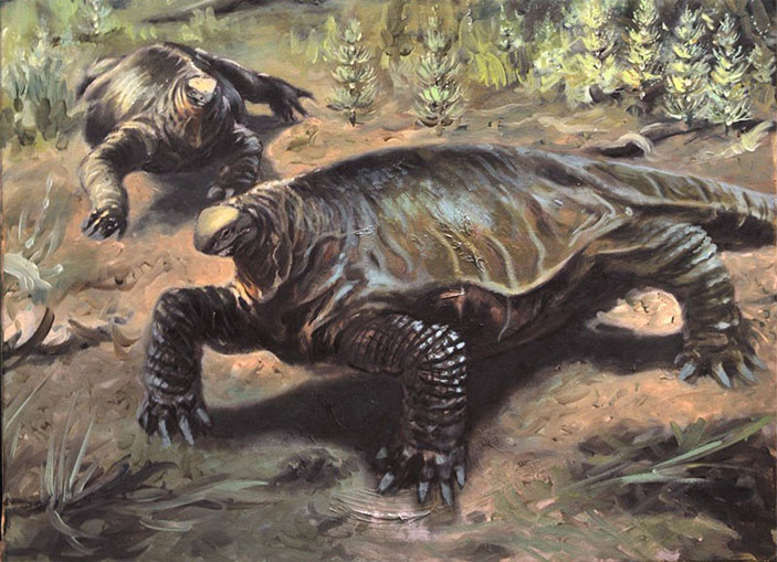 Реконструкция Alierasaurus ronchii