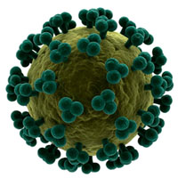 Рис. 1. Модель вируса иммунодефицита человека