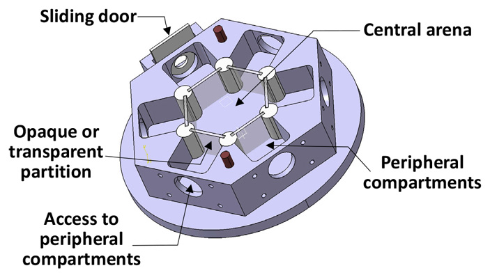 Рис. 3. Шестиугольная установка, использовавшаяся для проверки наличия у мух склонности к конформизму