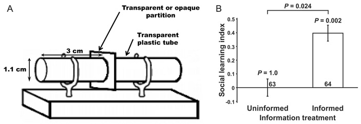 Рис. 2. Эксперимент для проверки способности к социальному обучению (критерий 1)
