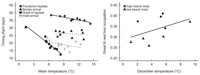 Рис. 4. Разная фенологическая чувствительность больших синиц и мухоловок-пеструшек к температуре