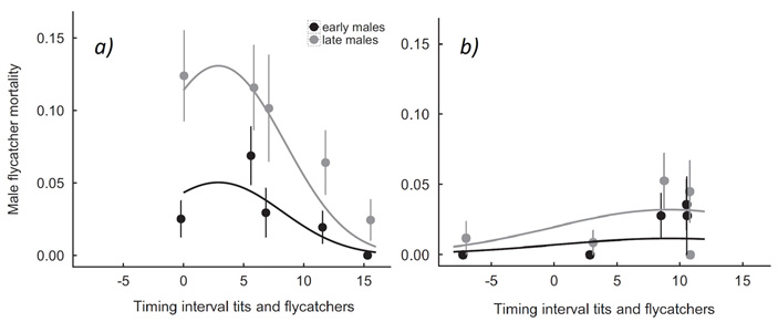 Рис. 5. Рассчитанная вероятность, с которой самцы мухоловок-пеструшек могут быть убиты синицами