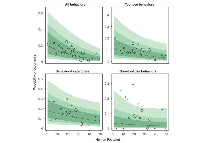 Рис. 3. Вероятность наличия в сообществе тех или иных типов поведения убывает с ростом антропогенной нагрузки