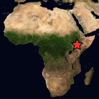 Рис. 1. Уточненные данные по изотопному составу углерода в зубной эмали (у восточноафриканских гоминид