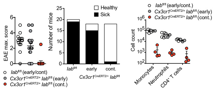 Рис. 4. Тяжесть болезни у ГМ-мышей c тремя разными модификациями