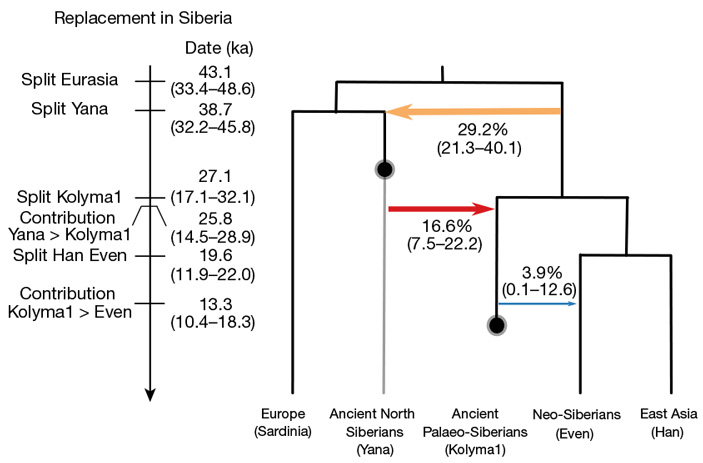 Рис. 2. Реконструкция происхождения и родственных связей древних восточно-сибирских популяций