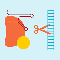 Новая система редактирования генома