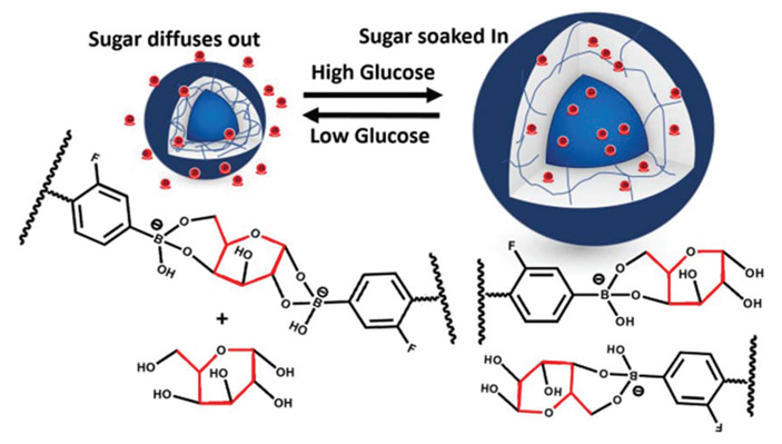 <b>Рис. 1.</b> Поведение чувствительного к глюкозе наногеля в зависимости от ее концентрации в крови