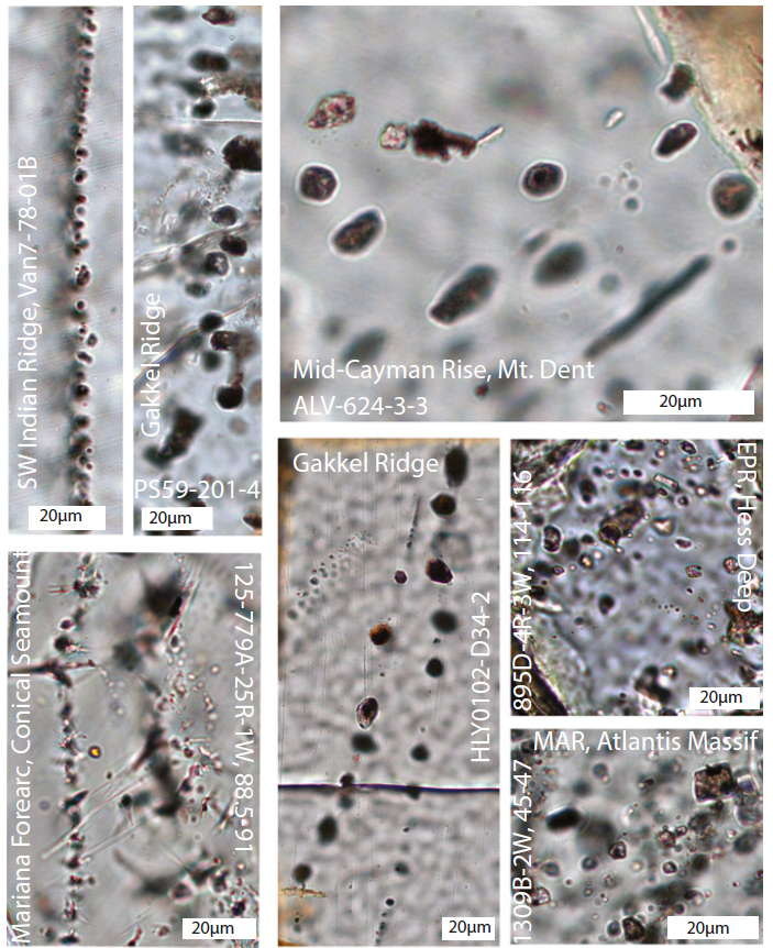 Рис. 4. Флюидные включения в оливинах