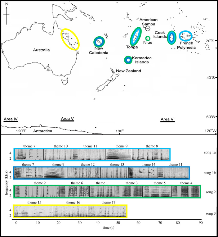 Рис. 2. Карта южной части Тихого океана