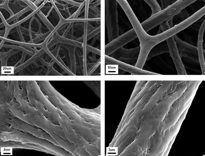 Рис. 2. Спонгин конской губки при разном увеличении