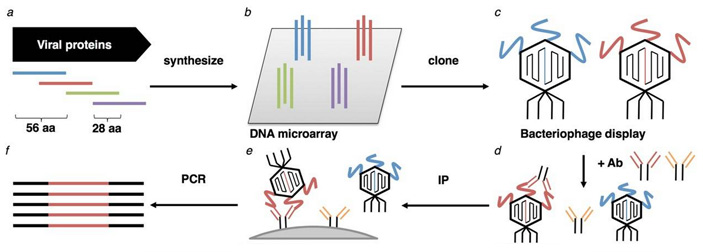 Рис. 3. Механизм работы VirScan