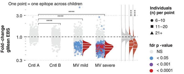 Рис. 6. После кори антител становится меньше