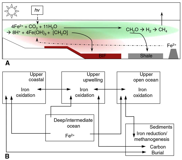 Рис. 3. Модель архейской прибрежной зоны апвеллинга