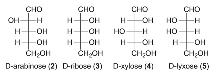 Рис. 2. Структуры молекул альденопентоз