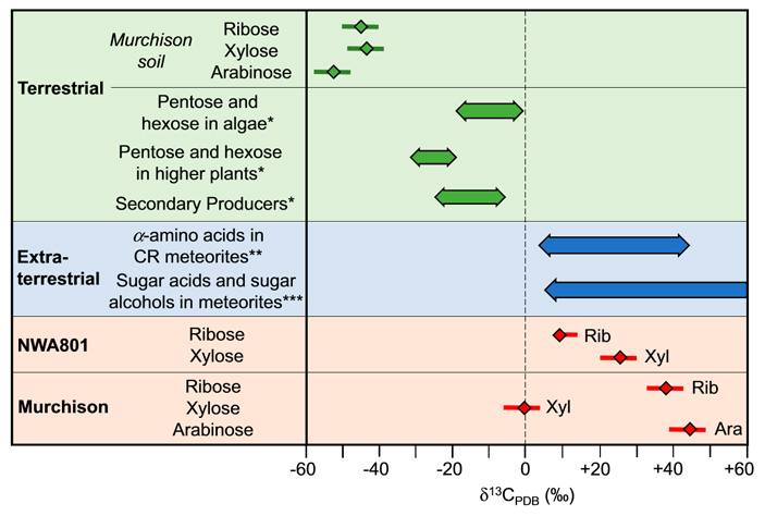 Рис. 3. Результаты анализа соотношений стабильных изотопов углерода