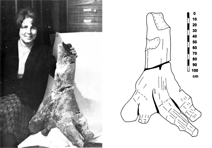 Рис. 2. Палеоботаник Наталия Снигиревская и найденный ей на Донбассе пень Callixylon trifili