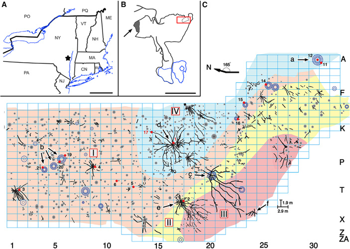 Рис. 5. Карта с местонахождением